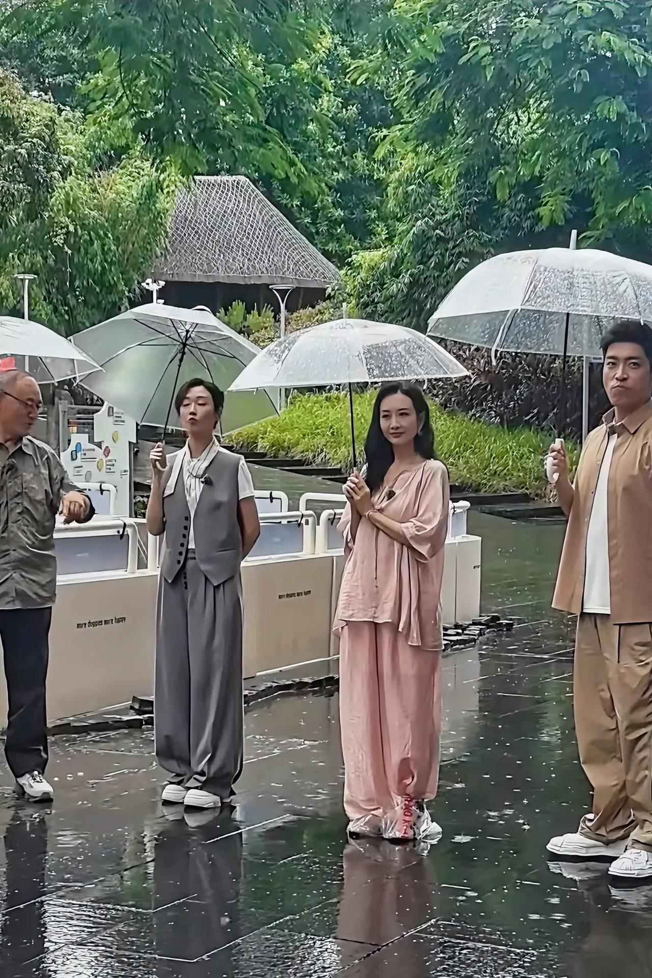 早就看出来王鸥是又漂亮又聪明的下雨天录节目，就她知道把鞋套个塑料袋…