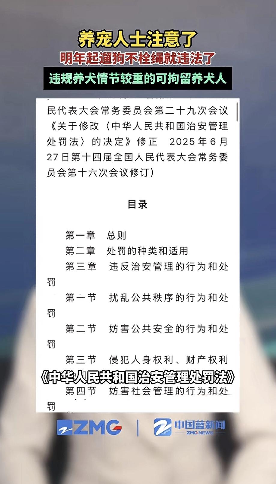 遛狗不拴绳，明年起真要“摊上事”了从明年开始，遛狗不拴绳就直接违法了，严重