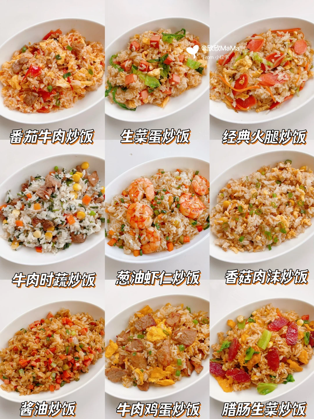 敲好吃的12款炒饭做法‼️米饭的神仙吃法✅