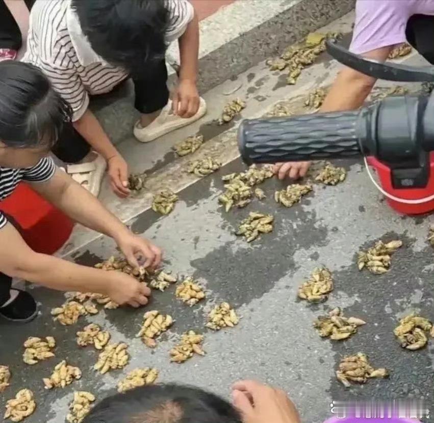 主人家这炫耀，我竟然无言以对。​​​