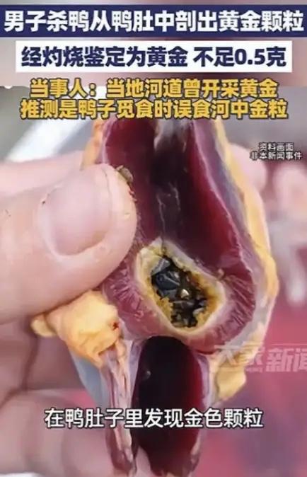 意外之喜！湖南，一男子过年杀鸭子时，感觉手指被什么东西硌了一下，生疼，低头仔细一