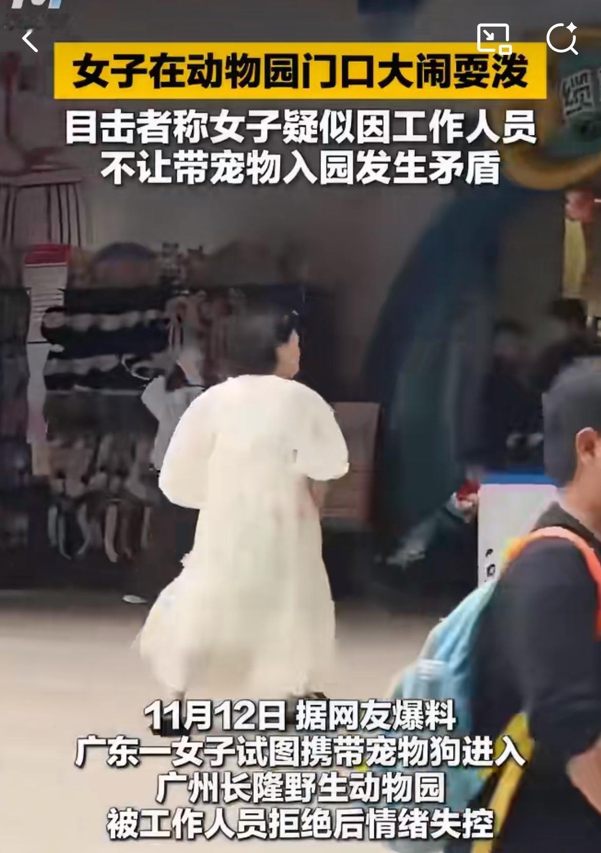 广州微胖靓女大闹长隆动物园，只因爱宠狗狗不能带进去参观。网友说，那是她的好大儿，