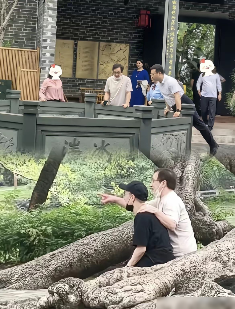 身价百亿的成龙，老了终究向儿子低头了。以前的他有多狠？对房祖名一年只打一次电话，甚至直接断联。信奉棍