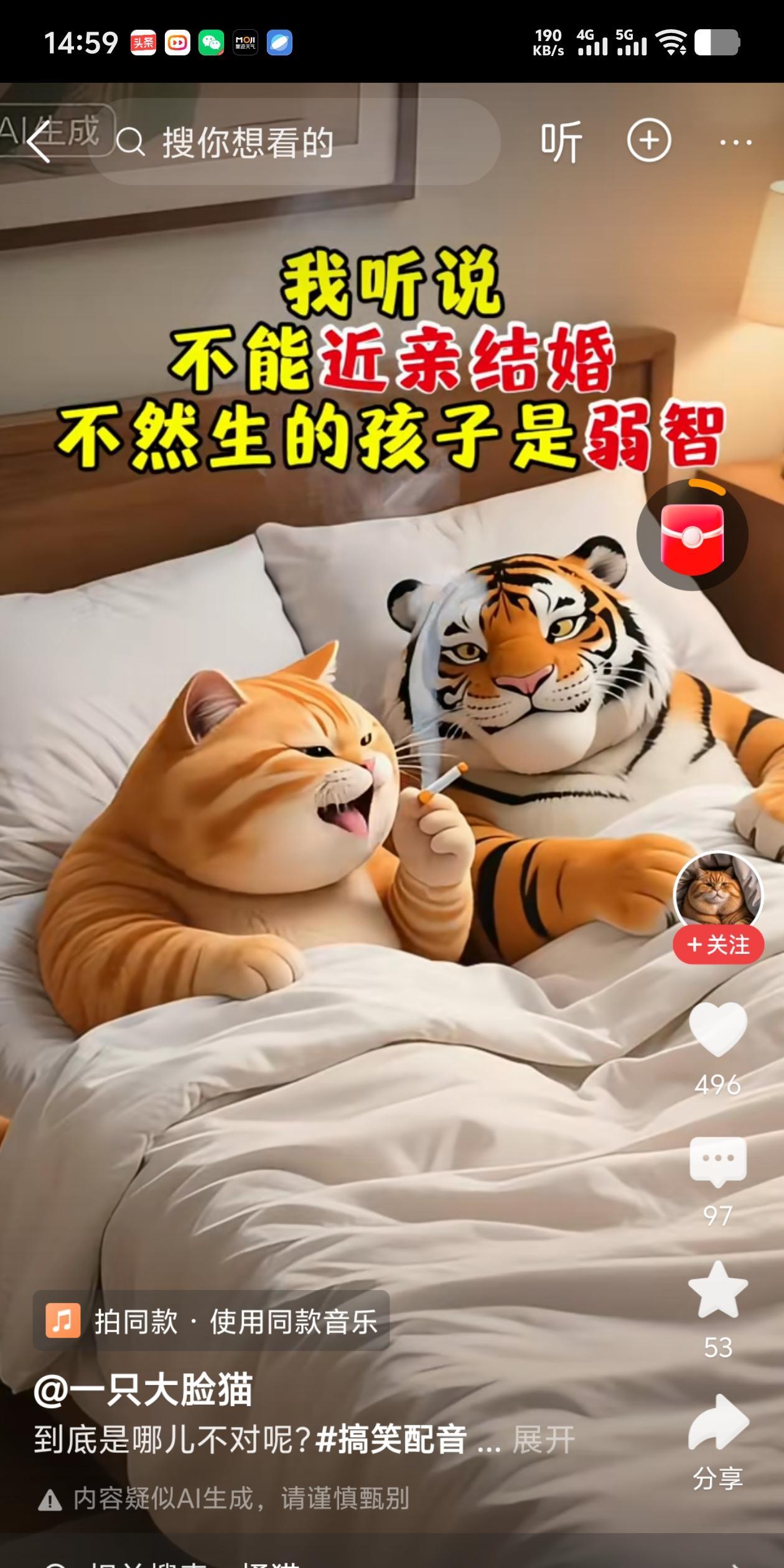 猫咪：我爸娶了我舅舅的妹妹，我却智商正常，为什么？