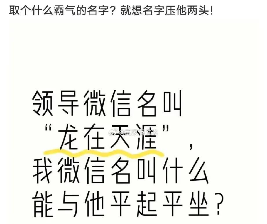 金毛狮王，专业屠龙[狗头]