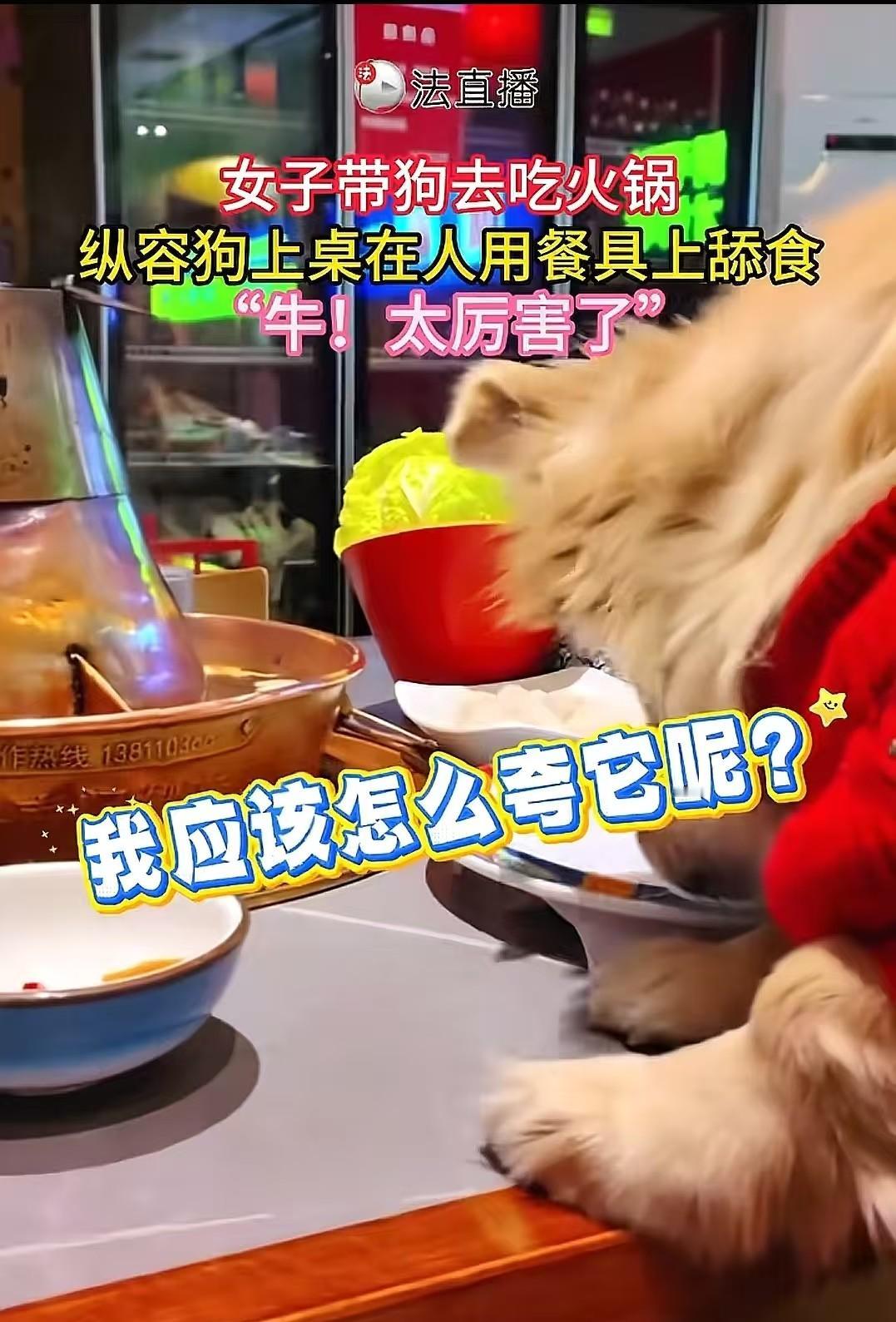 北京，女子带狗吃火锅，让狗上桌吃羊肉卷引众怒，百万索赔案待审。北京一家火锅