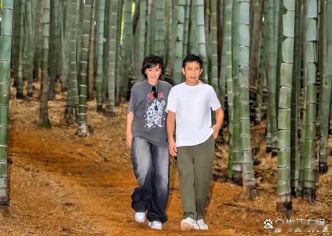 刘嘉玲与老公在竹林合影，氛围感拉满！尤其是第三张照片，她那个俏皮的动作太抢镜了，