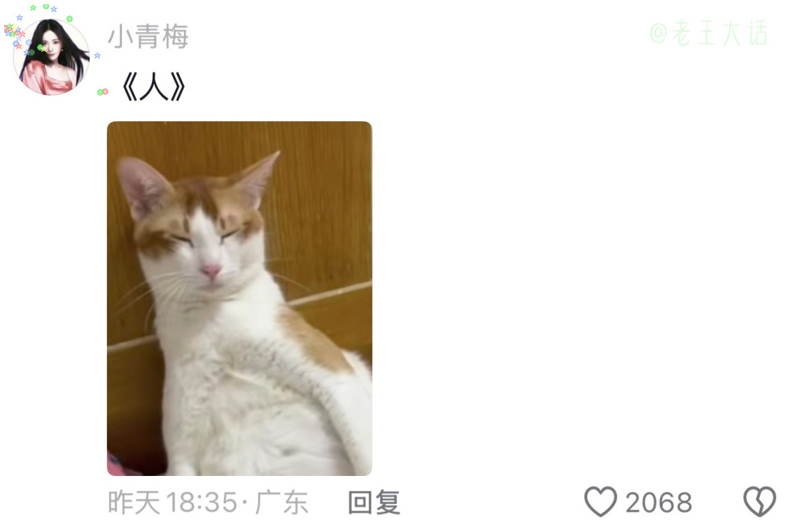 全家学历最低、工资最低、工作最闲、饭量最大、嘴巴最臭，但是——它最快乐。