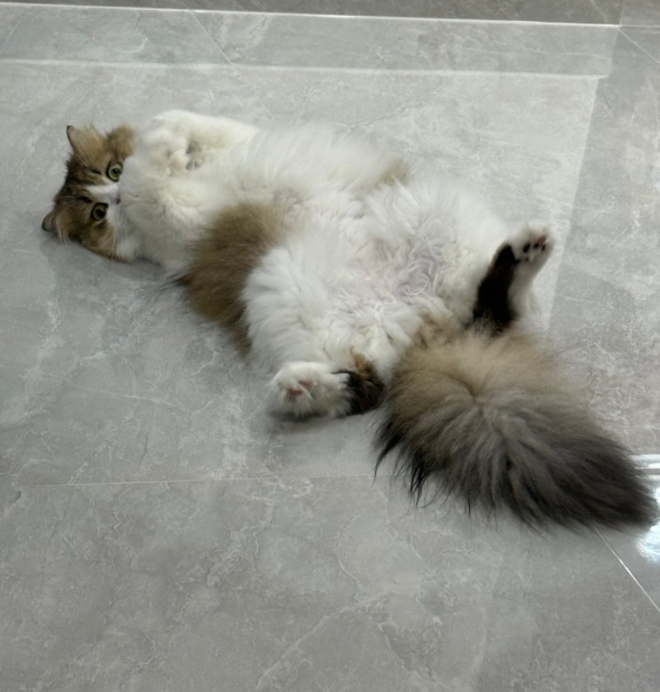 这一瞬间，我把看过的恐怖片在脑子里都过了一遍。真是逆子啊！