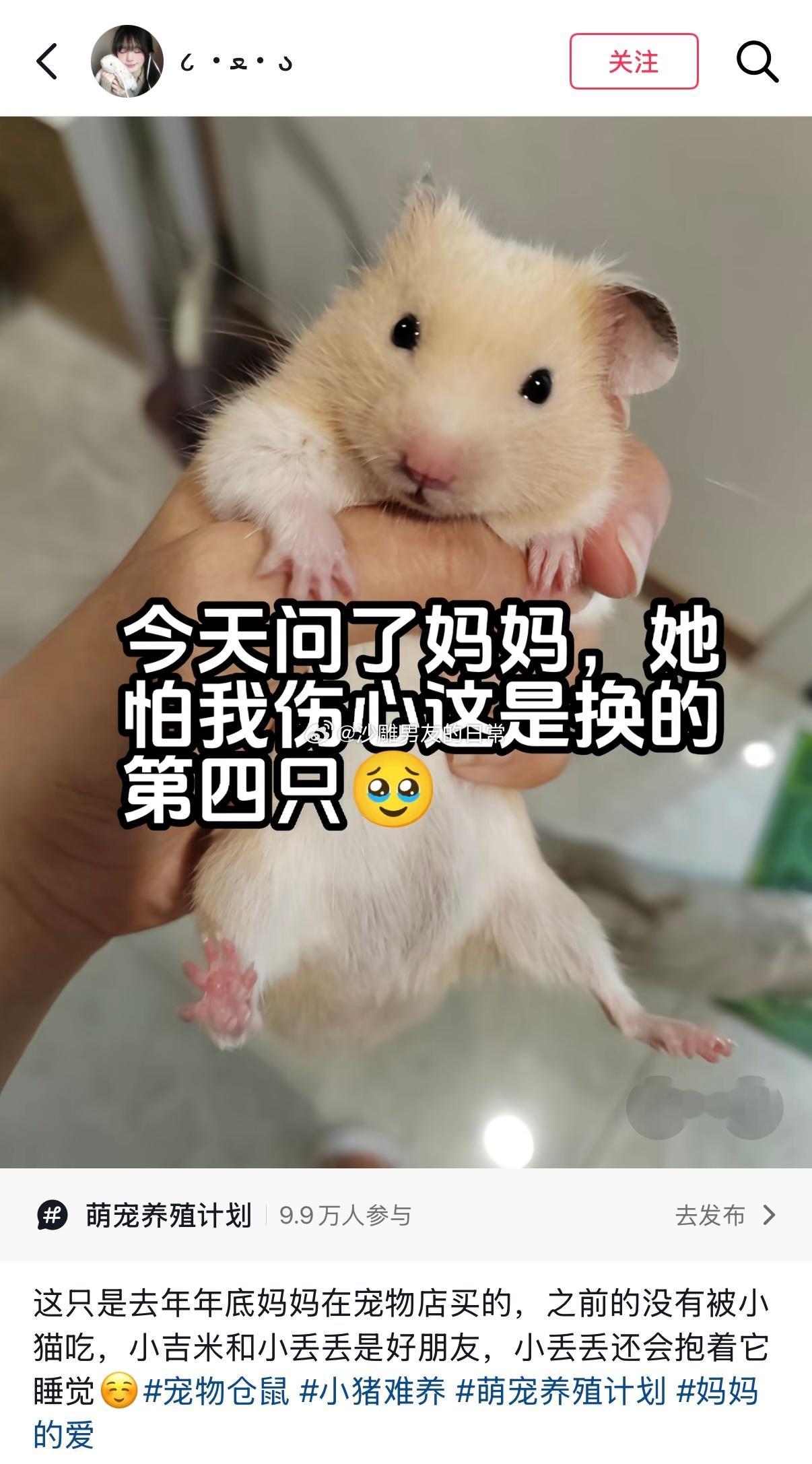 我只看到一对很爱孩子的父母情感热点创作激励计划