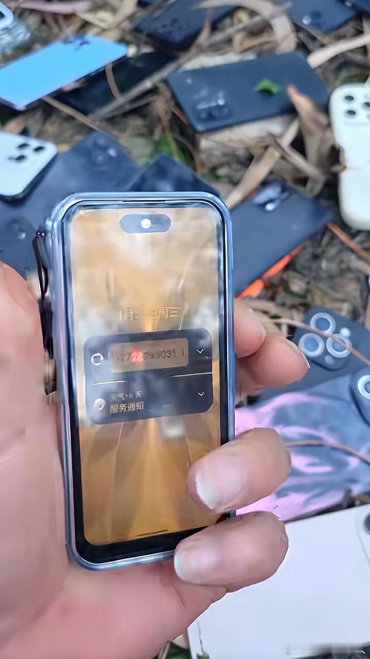 有网友野外草丛发现一堆被遗弃的手机各种品牌一应俱全，其中不少还是苹果机型，几十台