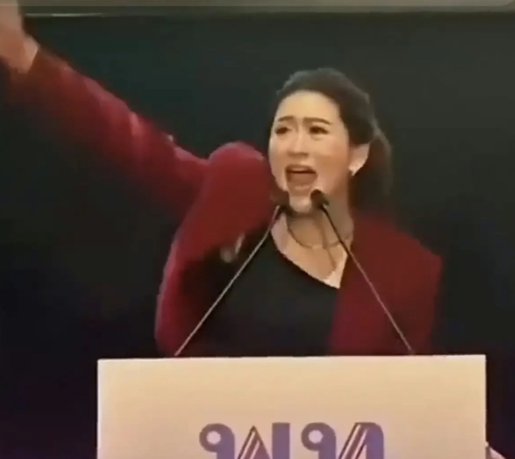 泰国35岁的女总理佩通坦任职才一年就被停职“赶下台”的六大原因：1、打击了泰柬