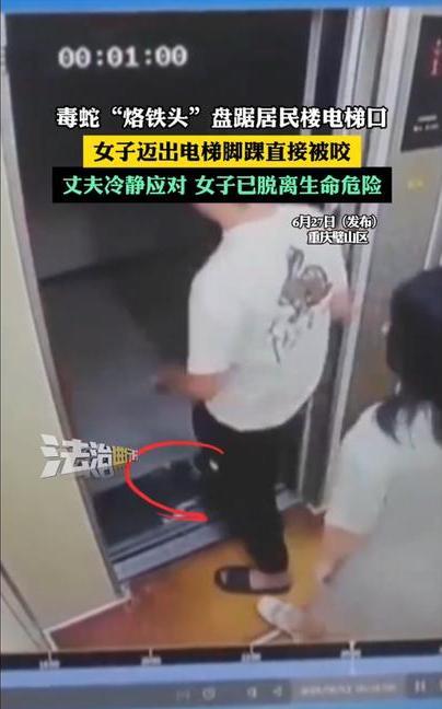 丈夫真冷静！重庆，妻子和丈夫乘电梯一同出门，妻子刚走出电梯口腿就被盘在电梯口的一