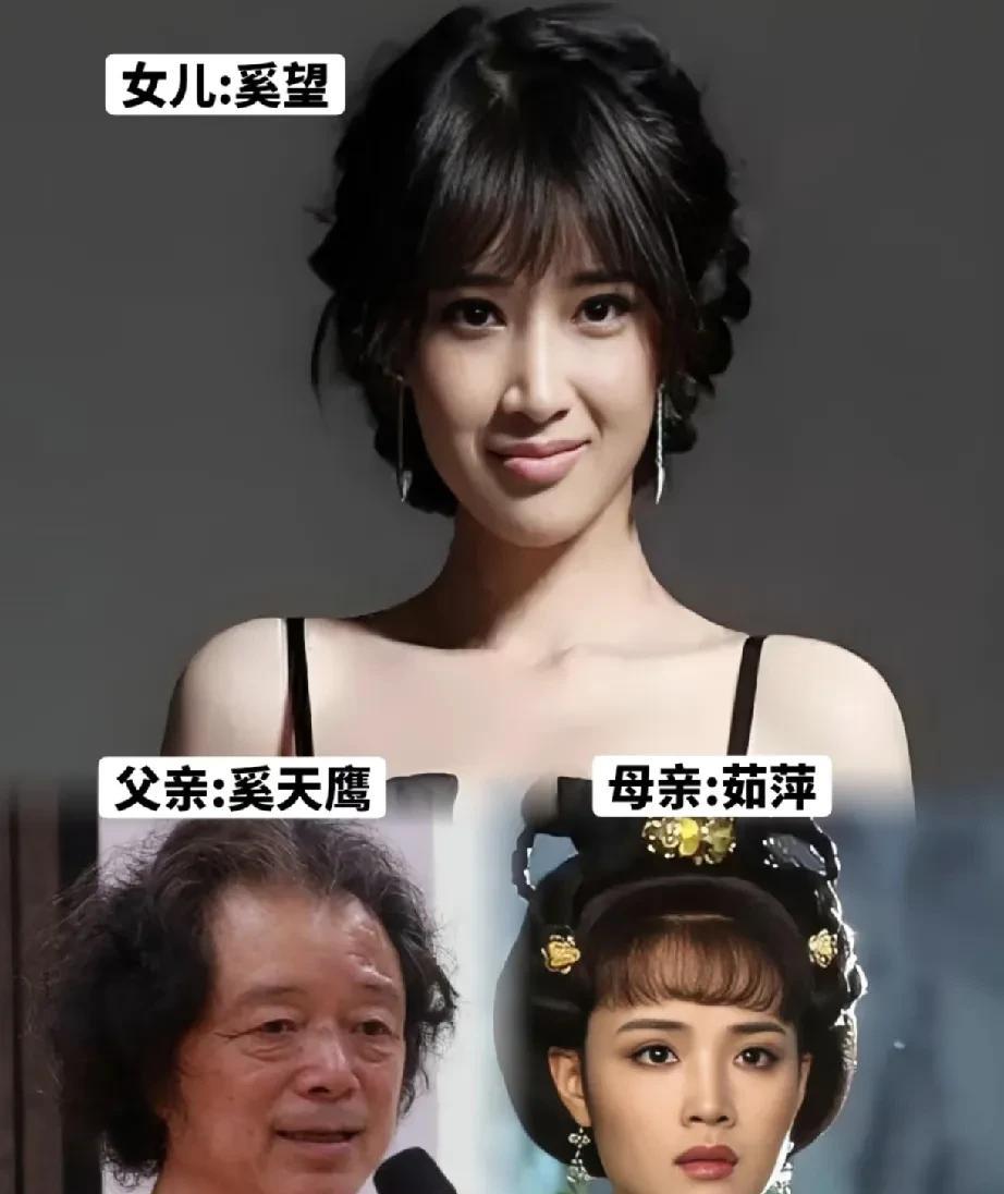 奚望是奚天鹰和著名演员茹萍的女儿，颜值出众，完美吸收了爸妈的优点。五官精致，眉