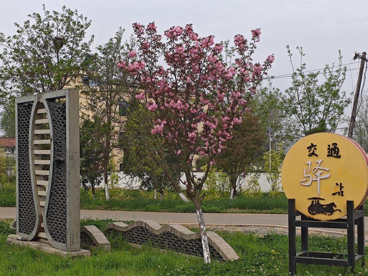 现行的职称工资制度与“同工同酬”的社会公平正义理念之间，确实存在着显著的矛盾和张