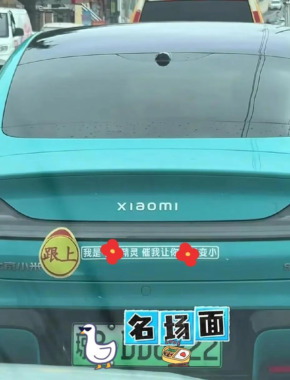 迄今为止，我看过最逗的车标语贴纸