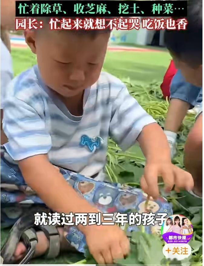 幼儿园小朋友开学忙到没时间哭闹这家幼儿园真不错[点赞][点赞][点赞]我昨天早上