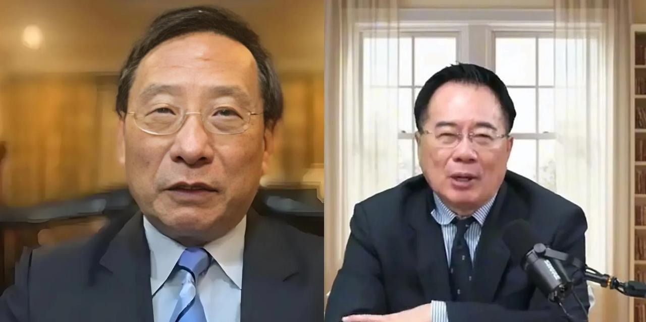 蔡正元和高志凯的言论，截然相反！谁的观点更可行？正在蔡正元和沈逸对阵快要结束的