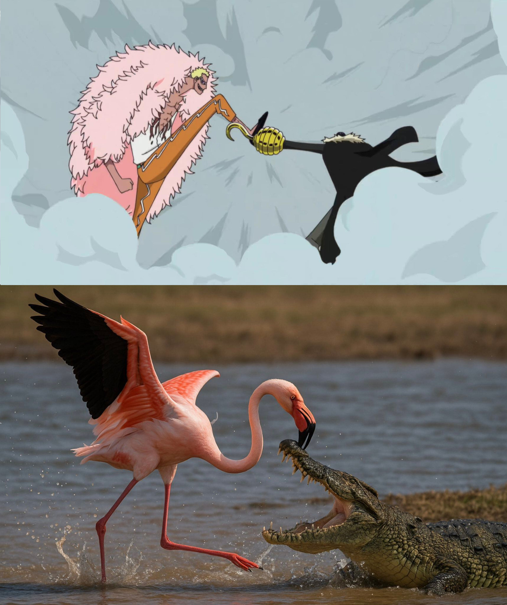 海贼王海贼王海贼王照进现实​​​