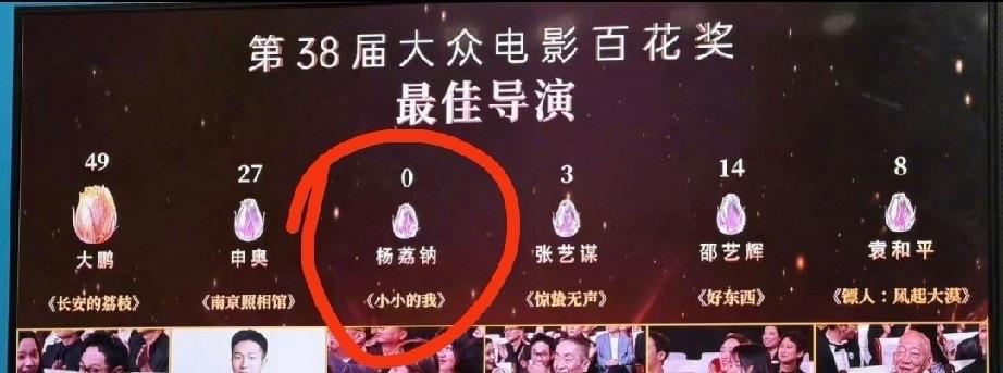 百花奖最讽刺的，不是王宝强的0票，也不是马丽的2票，而是《小小的我》的导演，