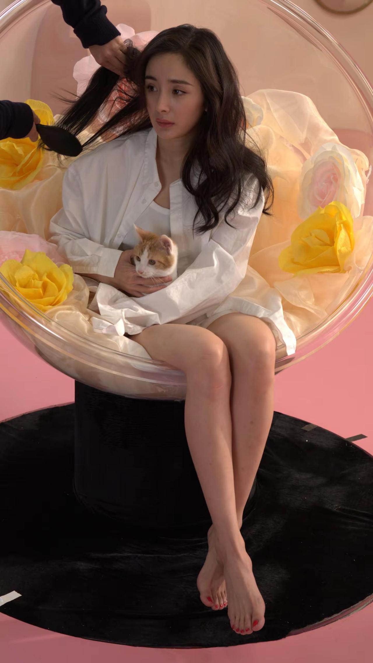 杨幂早期棚拍定妆RAW底图，猫咪好乖巧呀。杨幂杨幂身材向全世界安利杨幂生图