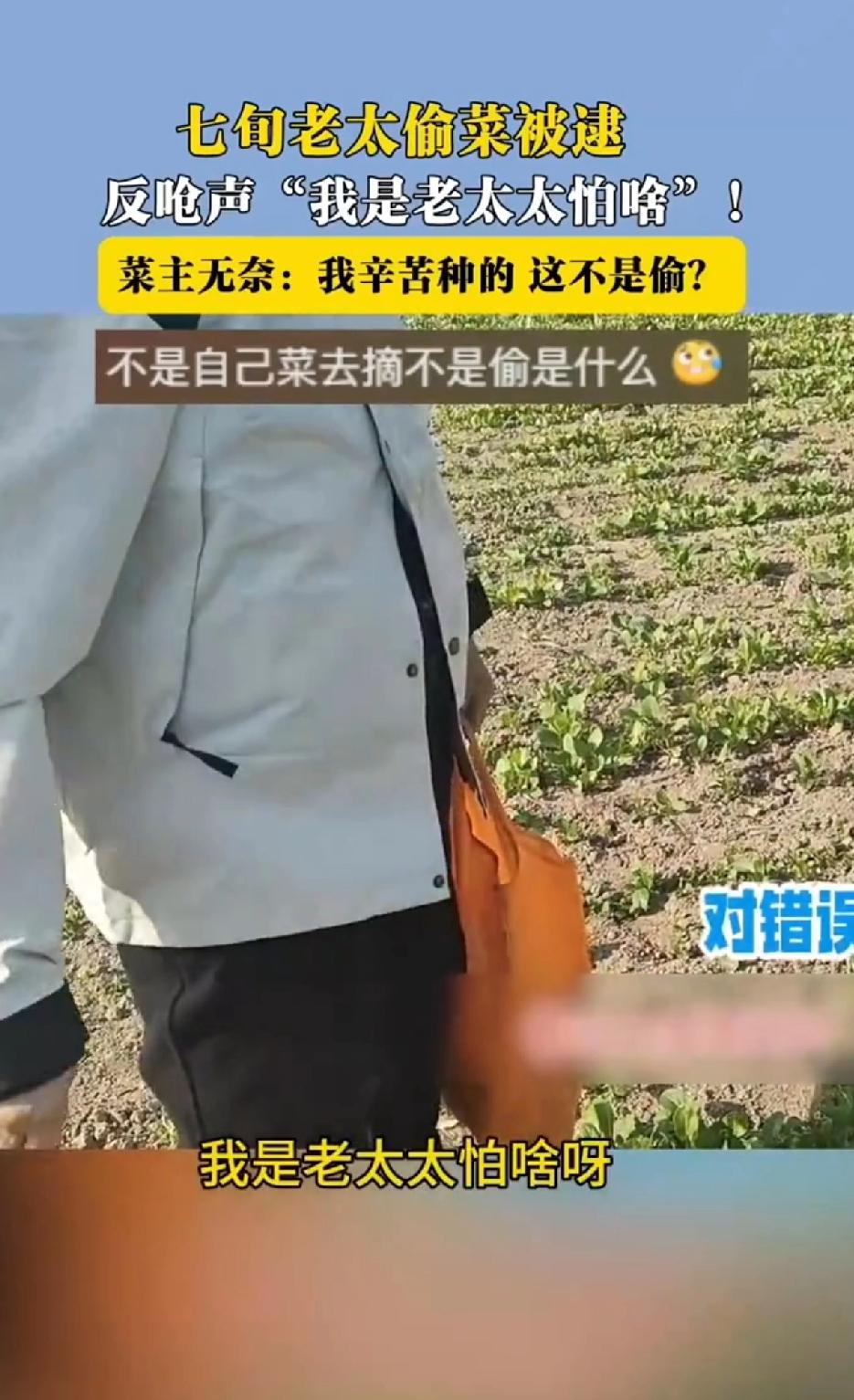 7旬老太偷菜被抓，“理直气壮”回应我是老太太我怕啥！真让人无语。北京小伙遇到的