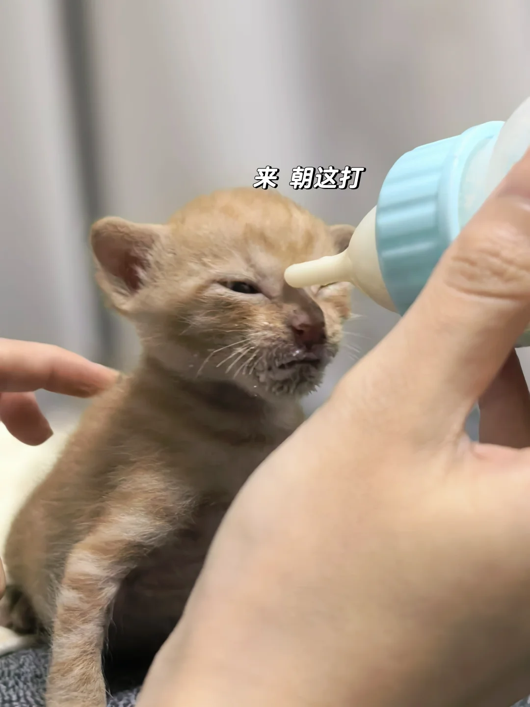 来来来 朝这打！