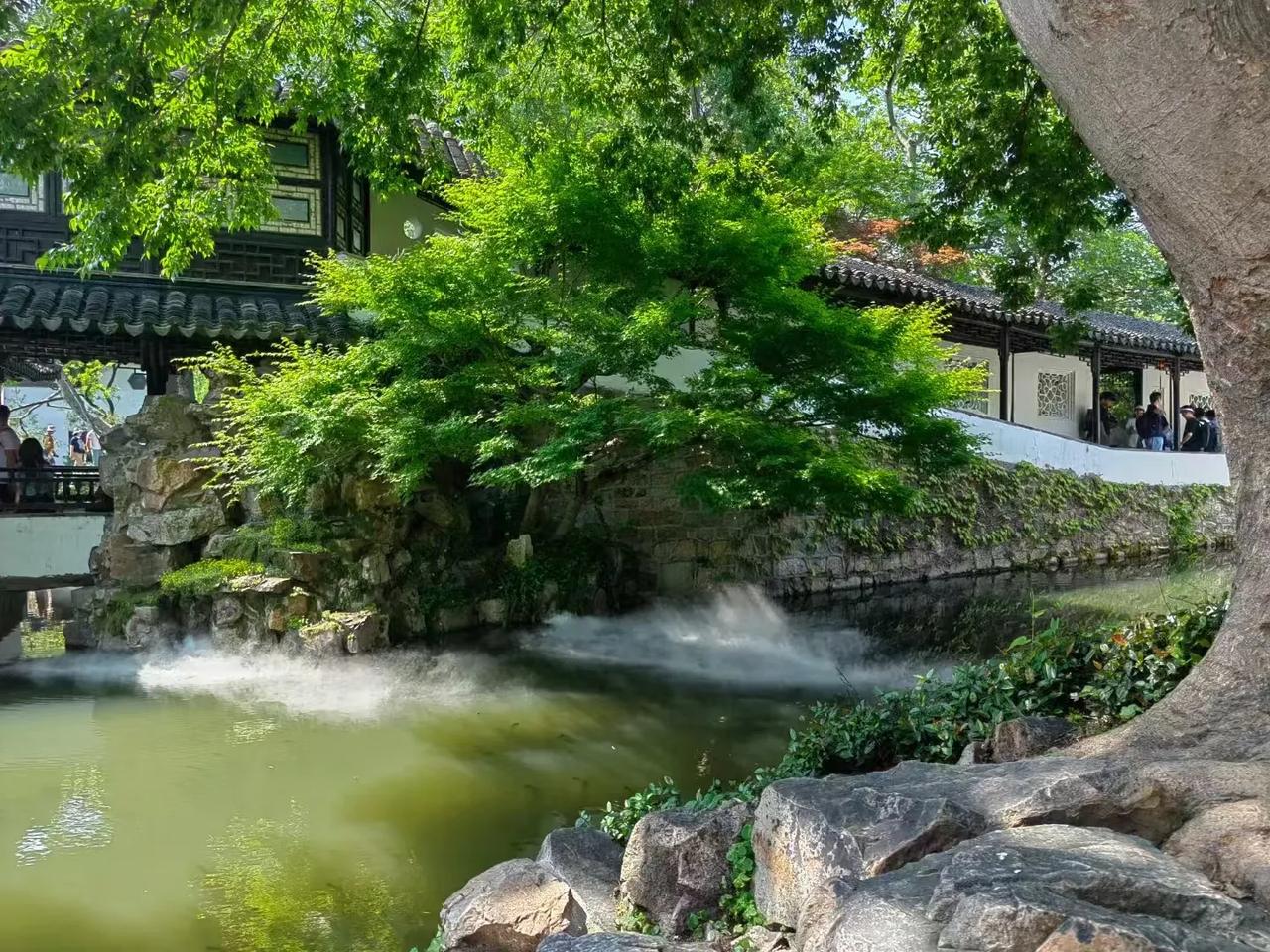 🌿拙政园｜梦回江南水乡的绝美画卷🌿🏞️拙政园，这座古典园林的瑰宝，每一