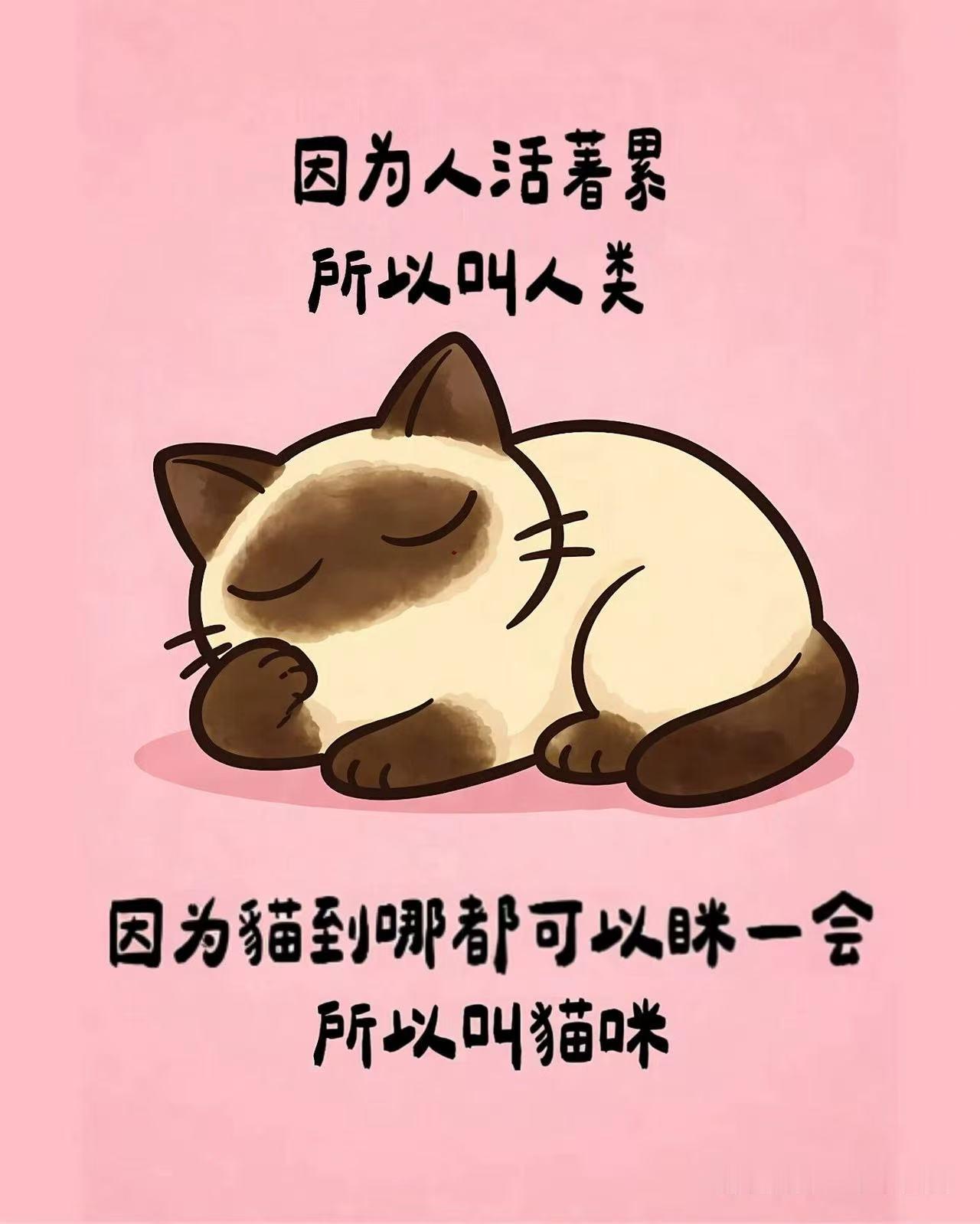 学习与不学习的区别是什么？给你们讲个故事吧，现在的网络媒体一直在宣扬读书无用