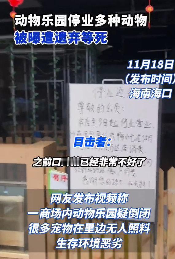 【：有人喂食，已联系商家】11月17日(拍摄)，海南海口，网友发布视频，一商场
