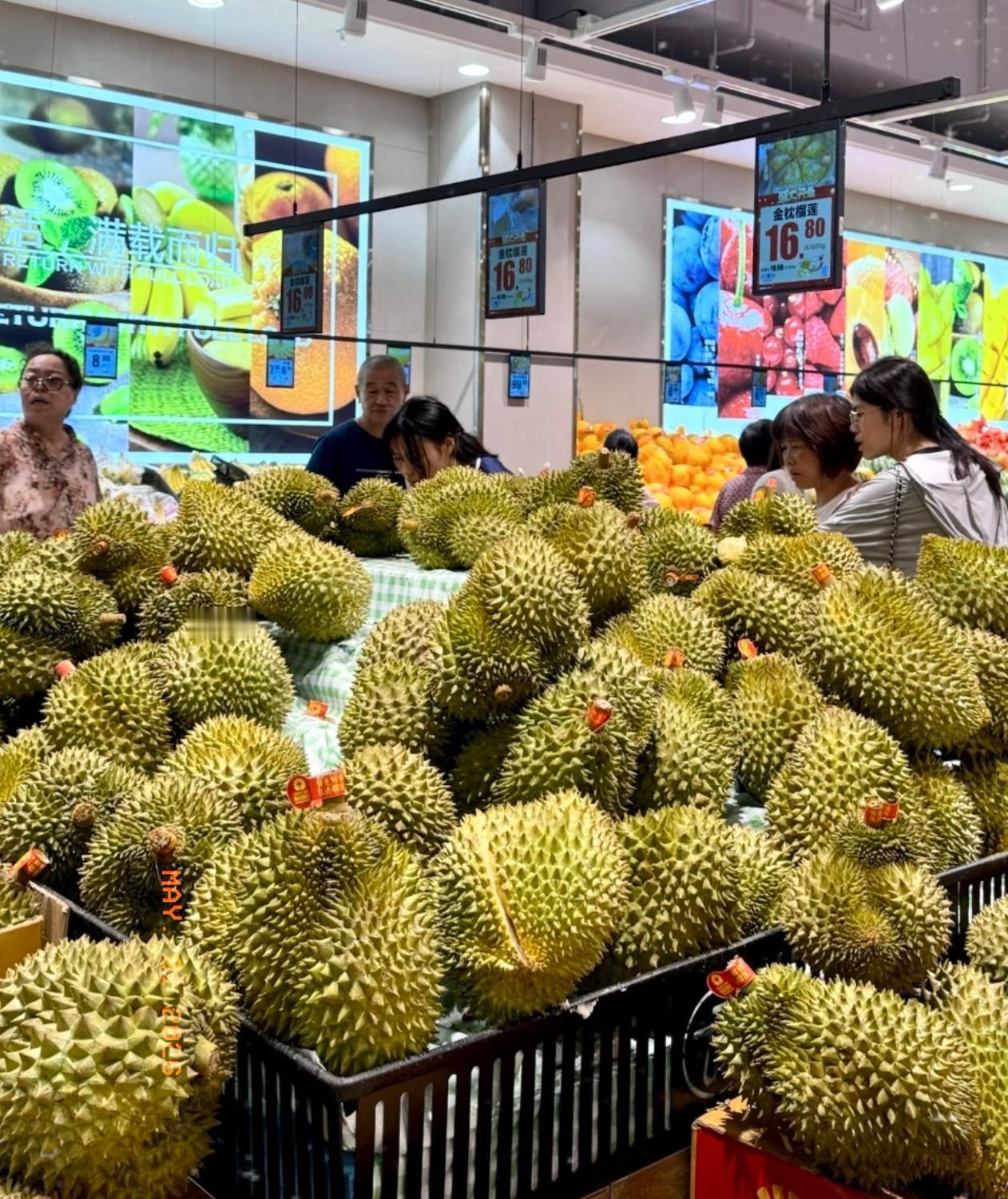 终于明白为啥榴莲现在这么便宜了，简直跌到“白菜价”！今年泰国榴莲迎来大丰收
