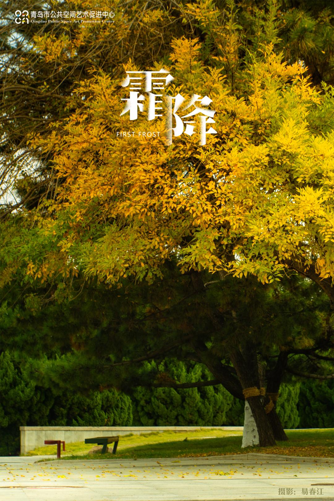 二十四节气|霜降