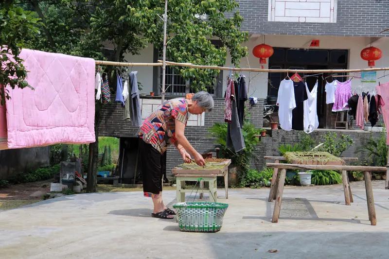 2026年6月10日下午，河南开封发生一起3岁半男童走失事件，事发时孩子奶奶仅离