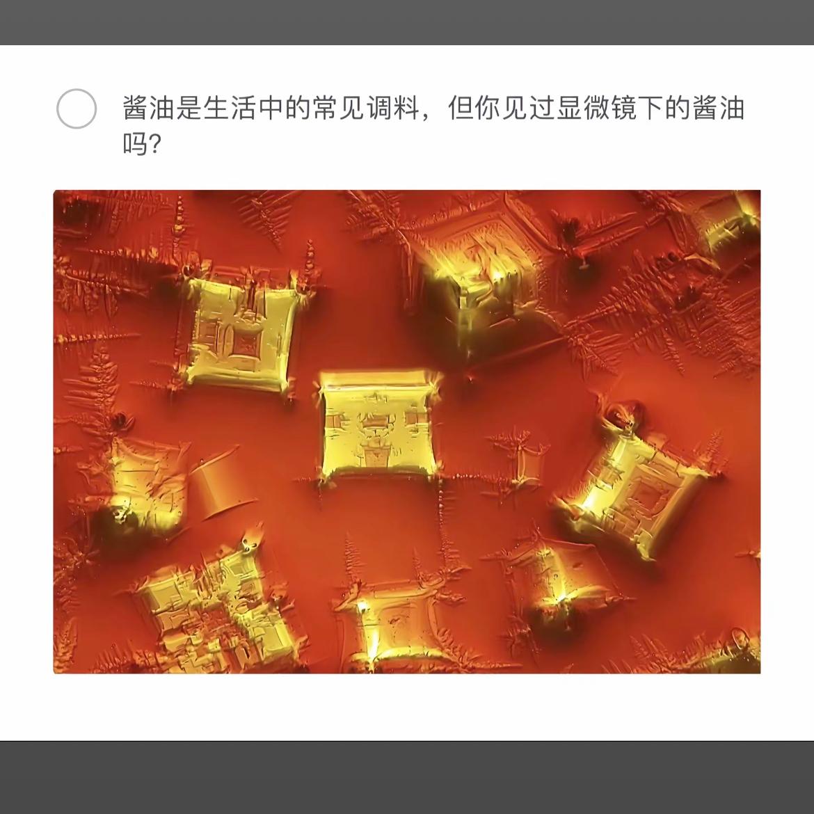 显微镜下的酱油世界，揭秘不为人知的秘密！