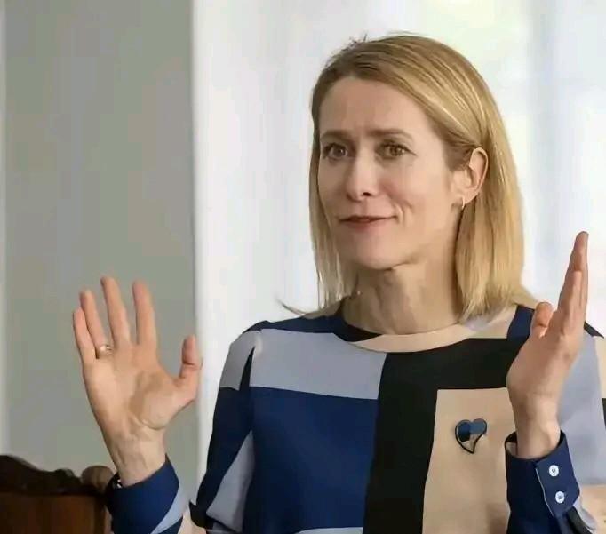 卡拉斯又开始说梦话了，一个什么都不懂的欧盟外长卡拉斯竟然这样声称：如果我们想阻止