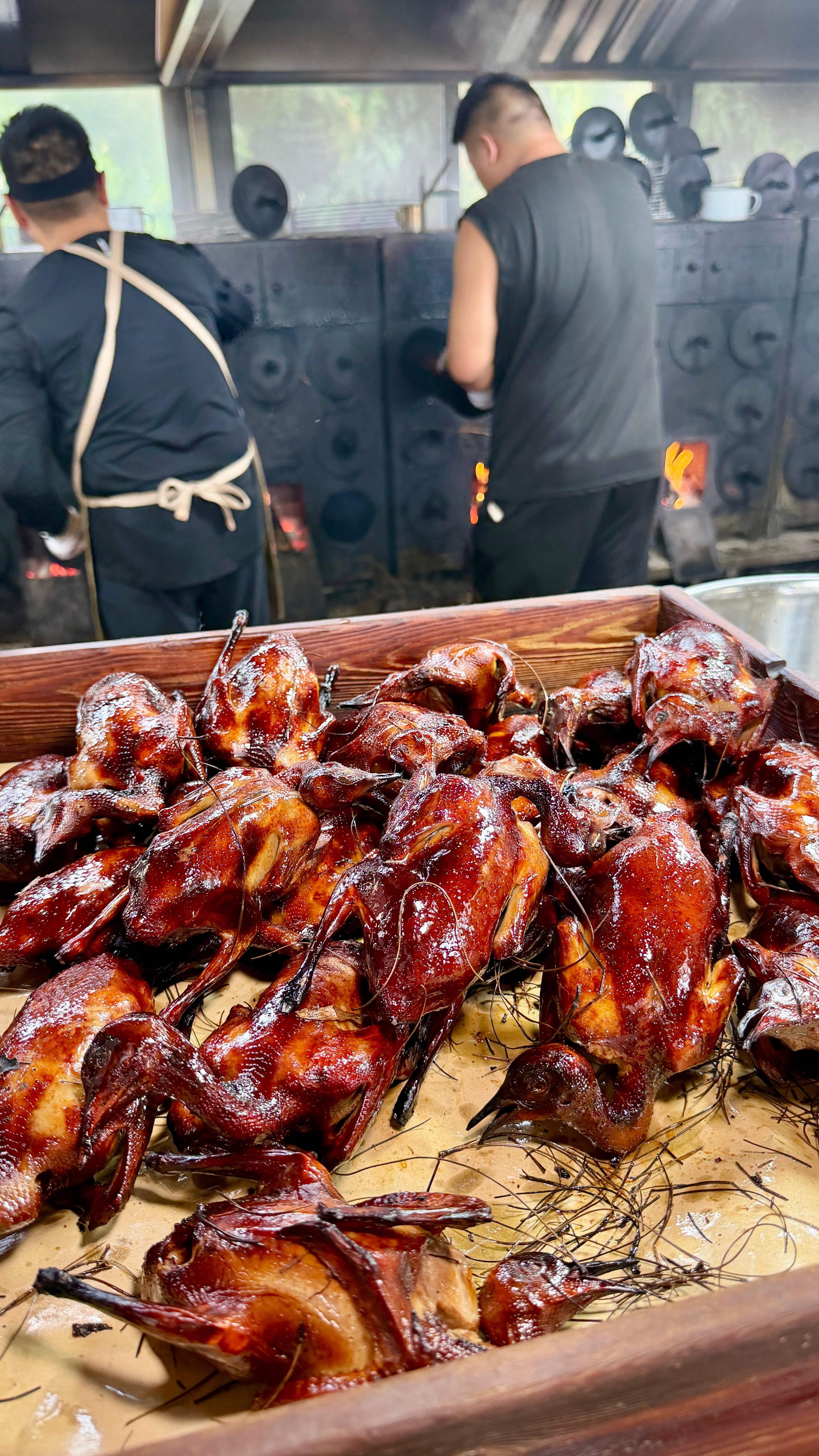 云南接地气美食分享🧐宜良这家松毛乳鸽真的绝🤤鸽子¥38/只🐦外皮酥脆，肉嫩