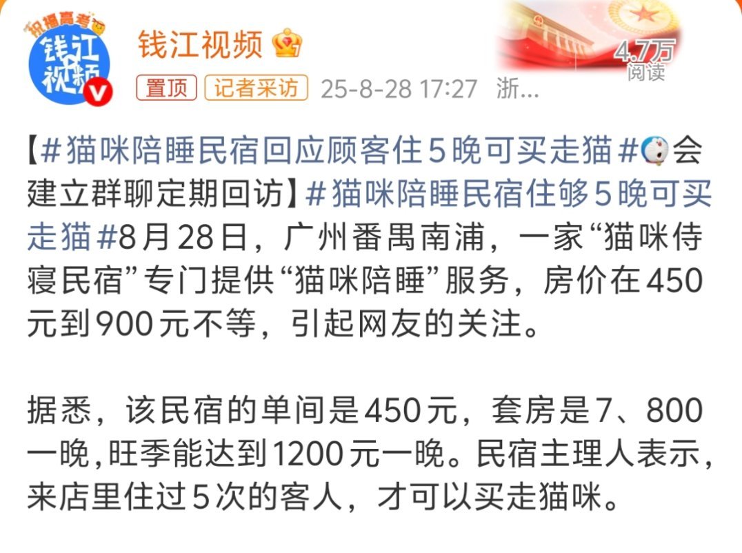 猫咪陪睡民宿住够5晚可买走猫也是挺不错的一种经营方式，相当于先体验一下嘛，而且这