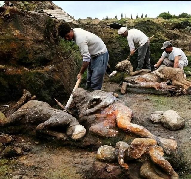 1961年，考古学家们正在挖掘庞贝古城遗址时的照片，镜头中可以看到很多石膏人形，