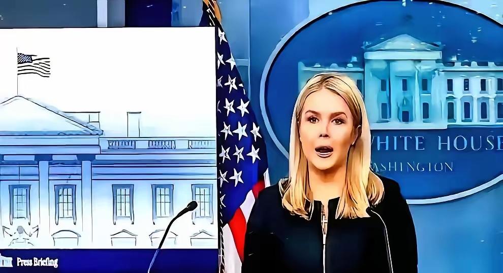 美国人拿着芯片说，卖给你；我们说，不要！然后，他们就懵呆了。白宫的人跑出来说：我