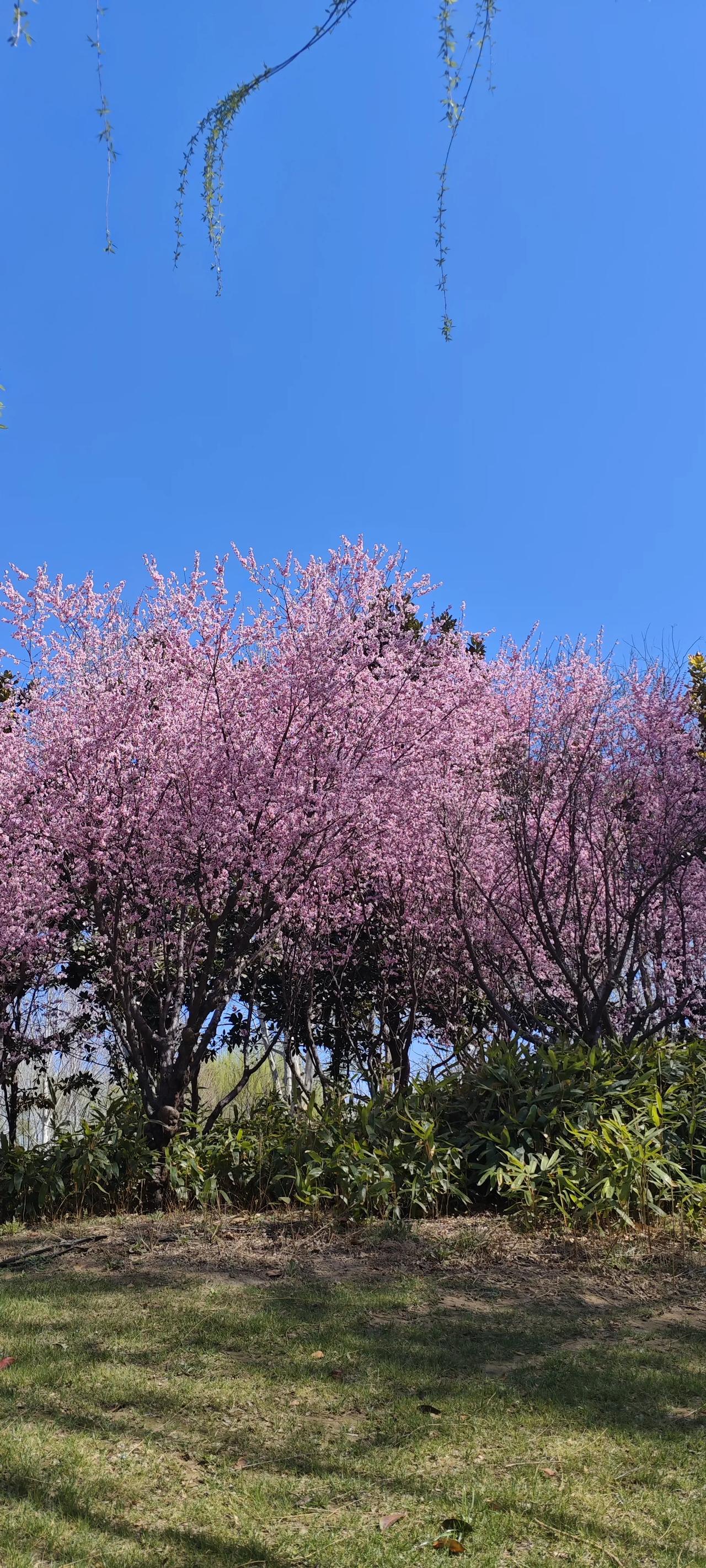 怎样让卧室干净整洁（一）长时间不穿的旧衣服得舍得扔掉。（二）长时间