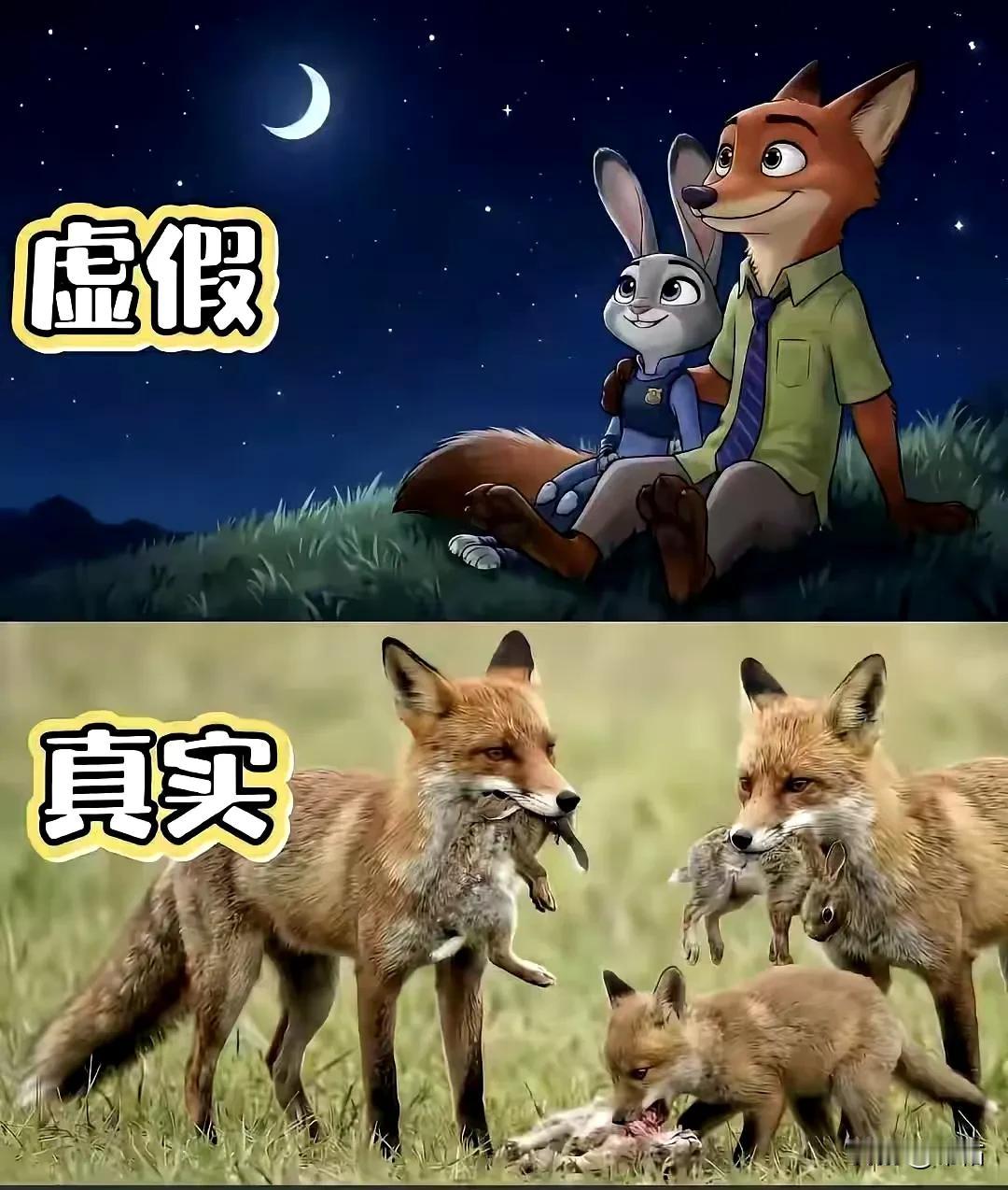 现实中是丛林法则，弱肉强食，资源有限，大家都在争权夺利，但是回到起点，大家都被灌