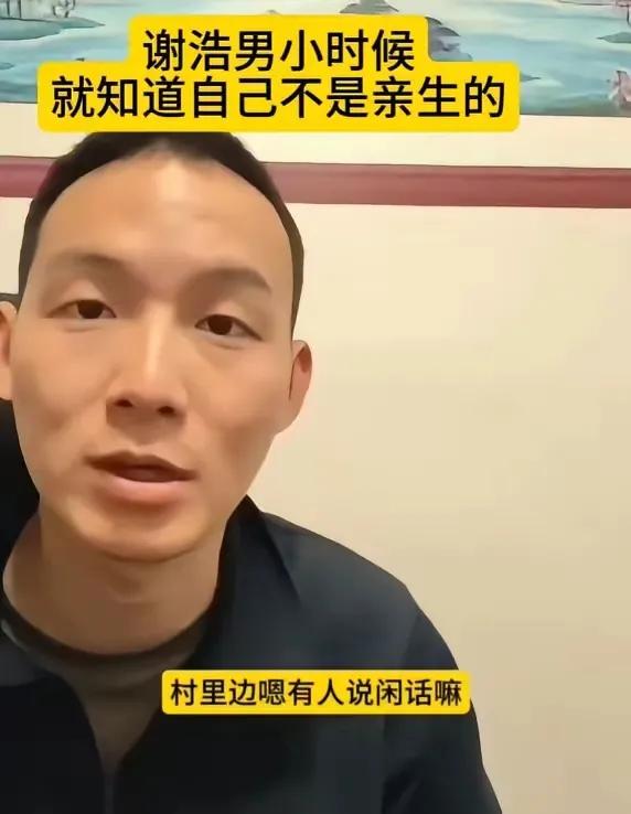 谢浩男在撒尿和泥的年龄，就隐约从邻居口中得知，自己是养家买来的。别人家五六岁