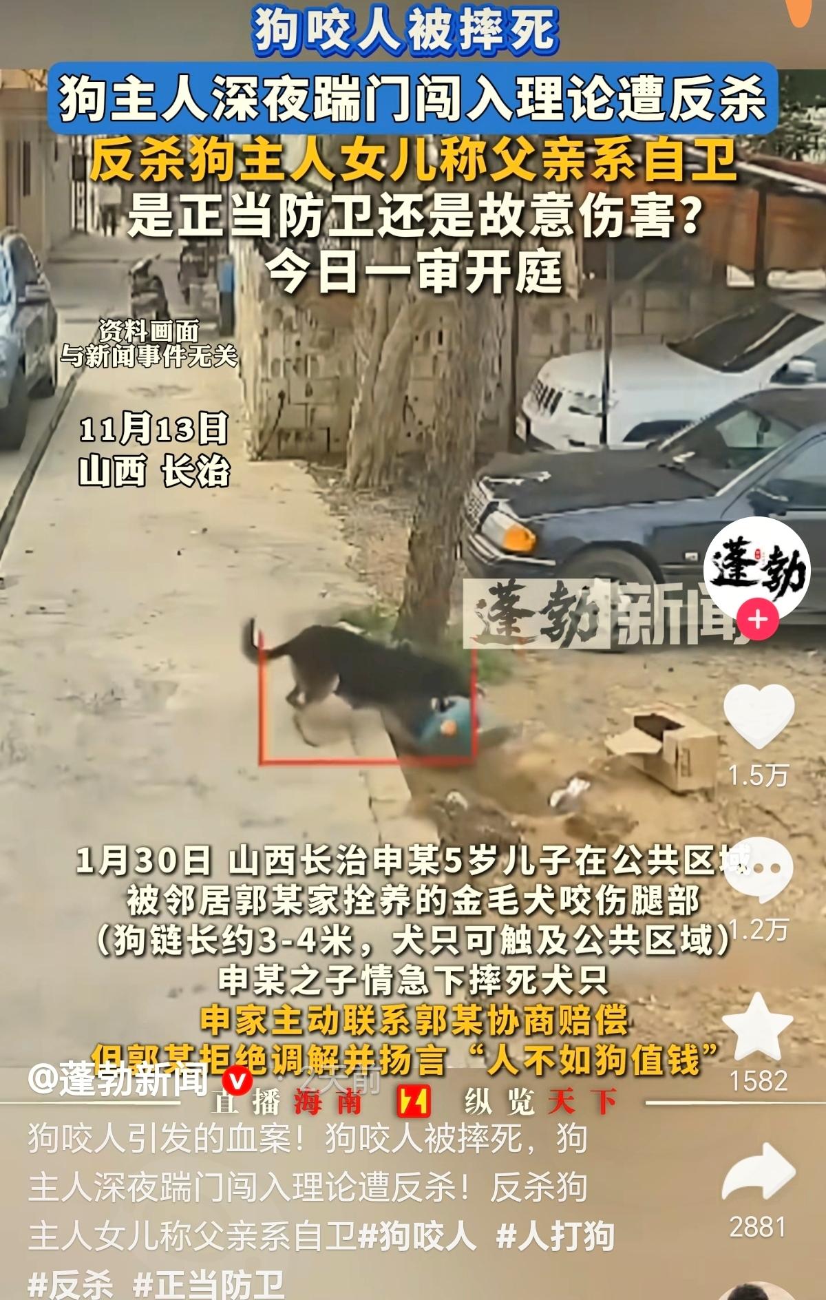 狗咬伤人狗主人有什么责任?被狗咬伤案养狗伤人狗狗伤人赔偿