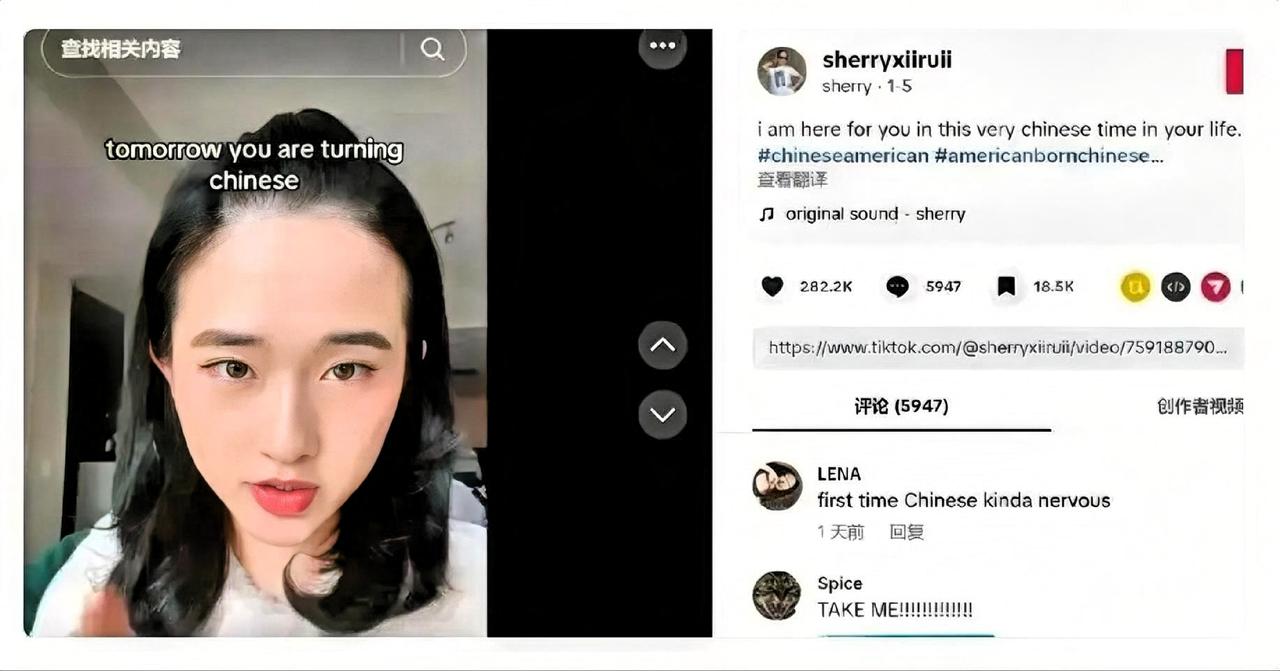 最近TikTok上火爆了一个超有意思的潮流：华裔博主雪莉突然对着镜头一本正经地说