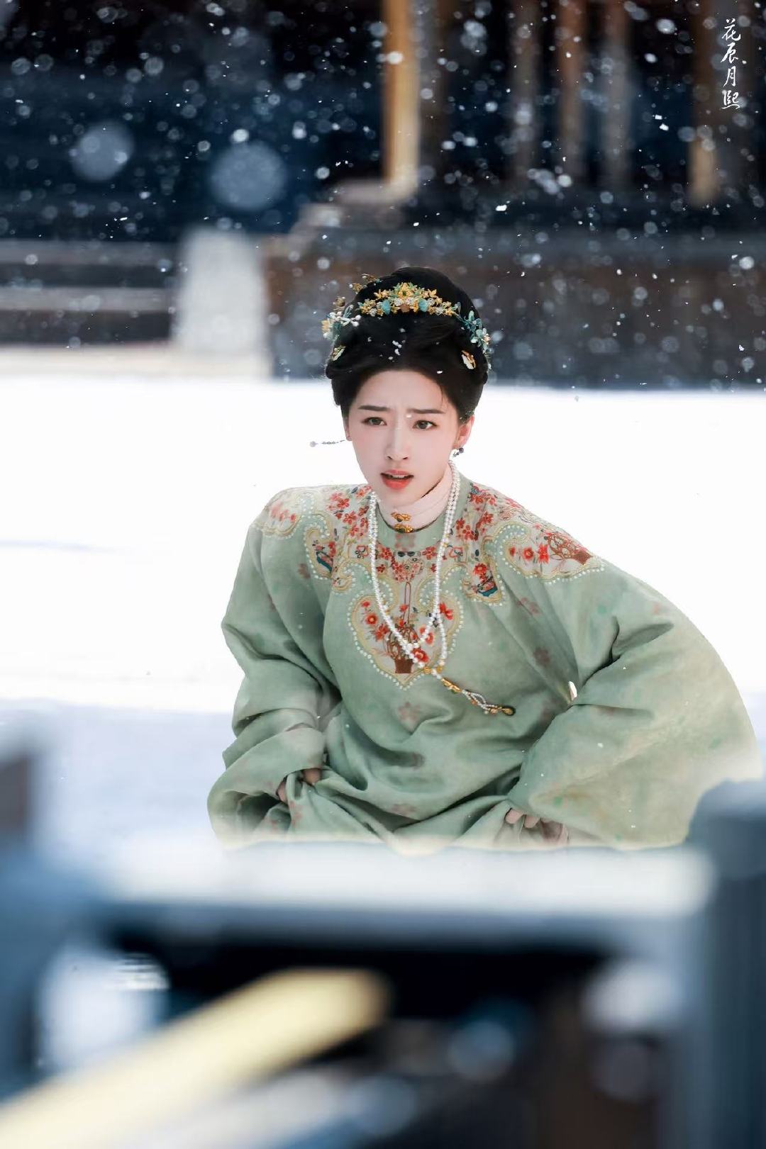 邓恩熙花开锦绣复仇文来了女主从江南辗转奔赴西北大漠，一路躲避追杀探查真相，联手男