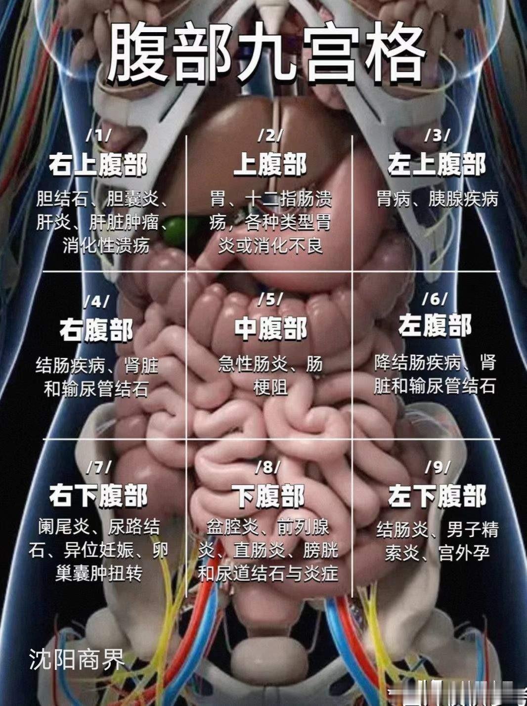 寿命长短看四项指标：一总胆固醇二血糖三低密度脂蛋白胆固醇四甘油三酯指标