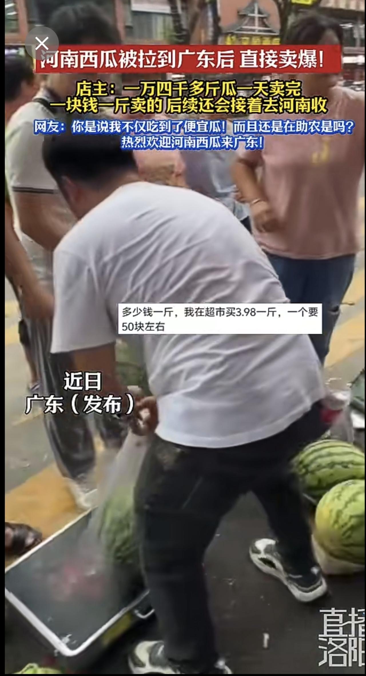 河南西瓜被拉到广东后，直接卖爆！店主：一万四千多斤瓜一天卖完，后续还会接着去河南