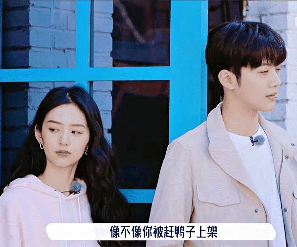 周也赖冠霖居然还谈过吗