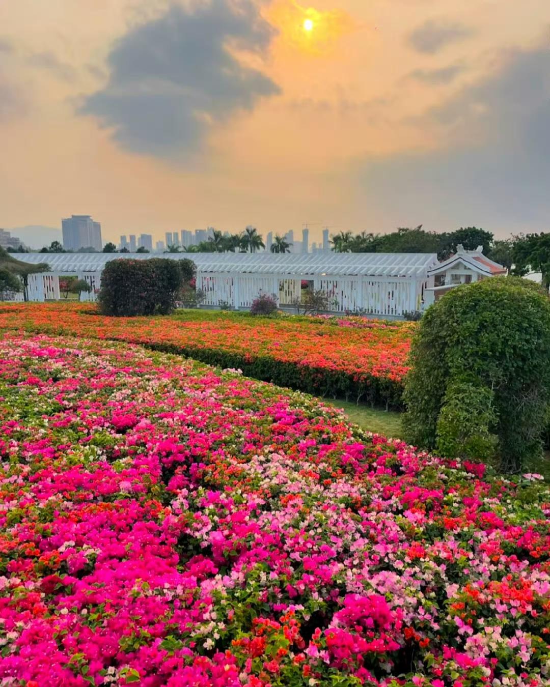 今年一季度GDP跑出5%的增速，比市场预期还要好，不少人看着这个数据，第一反应都
