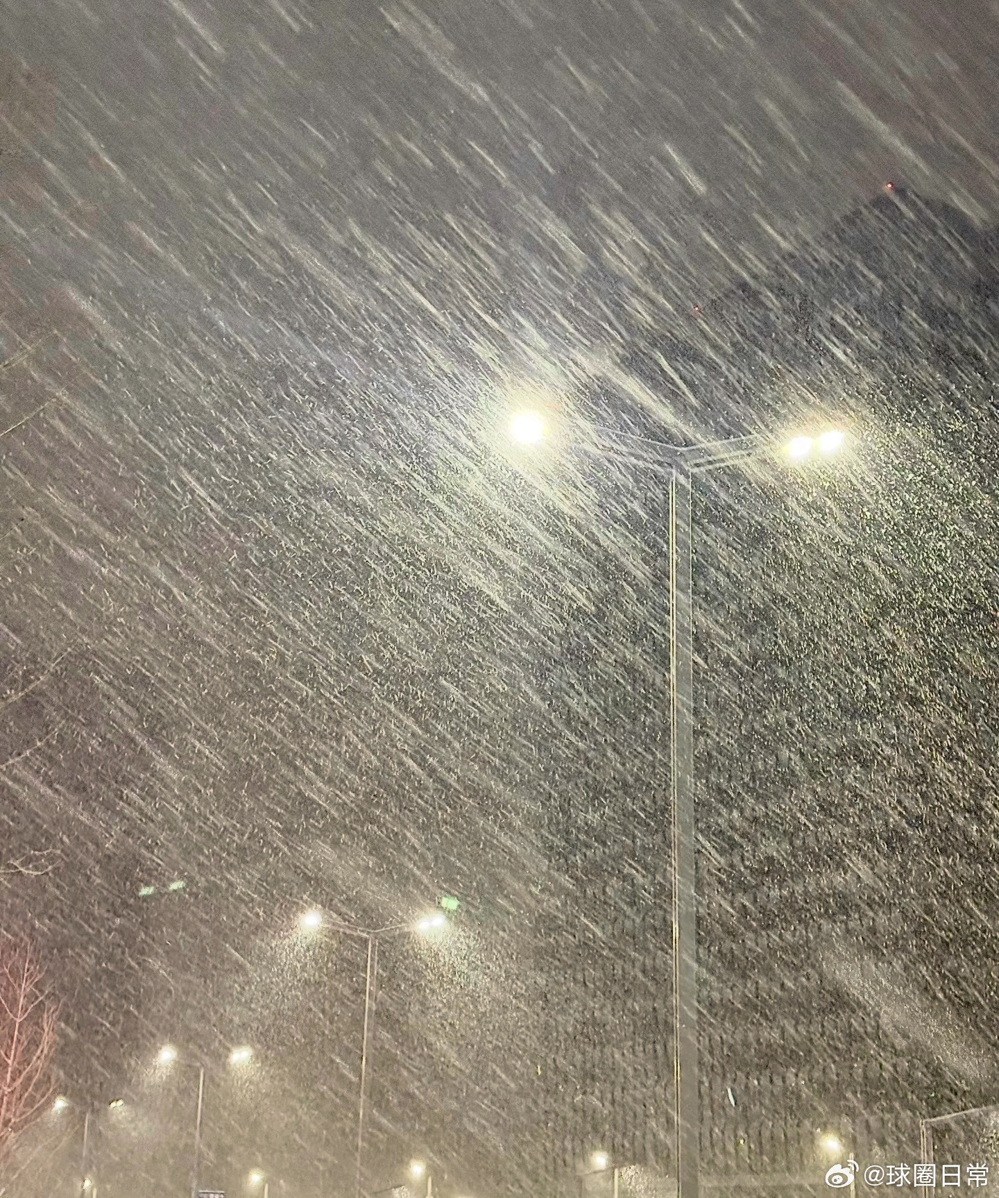 今天郑州的雪下得也太大了！